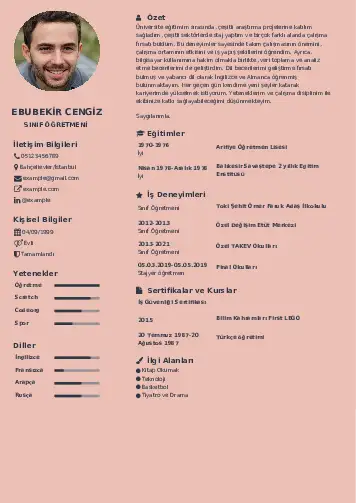 Sınıf Öğretmeni Cv Örnekleri cv indir